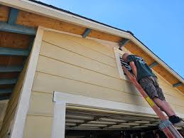 Shed Removal